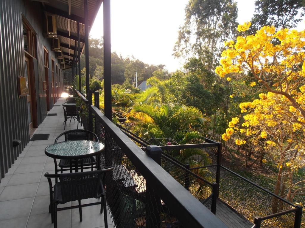 Daintree Wild Bed & Breakfast Pokoj fotografie