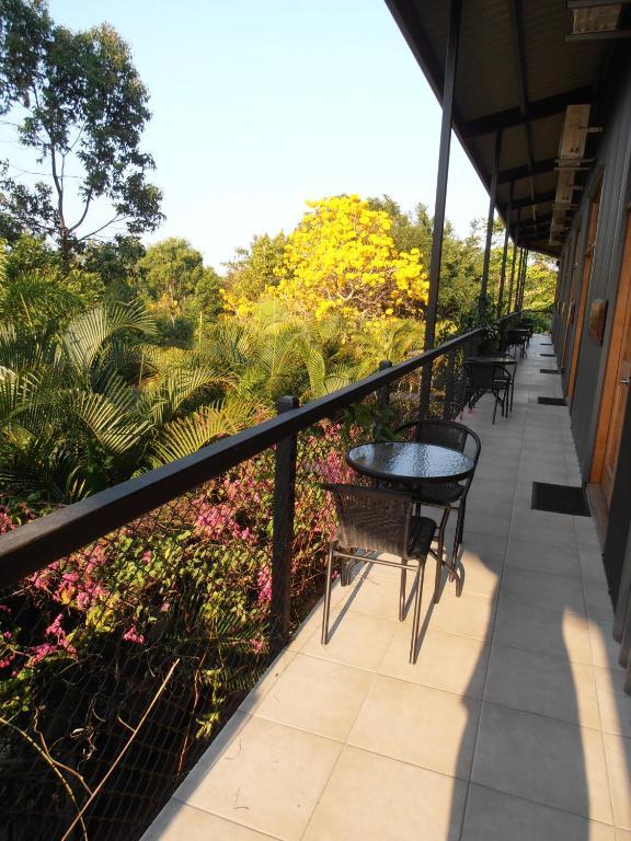 Daintree Wild Bed & Breakfast Pokoj fotografie