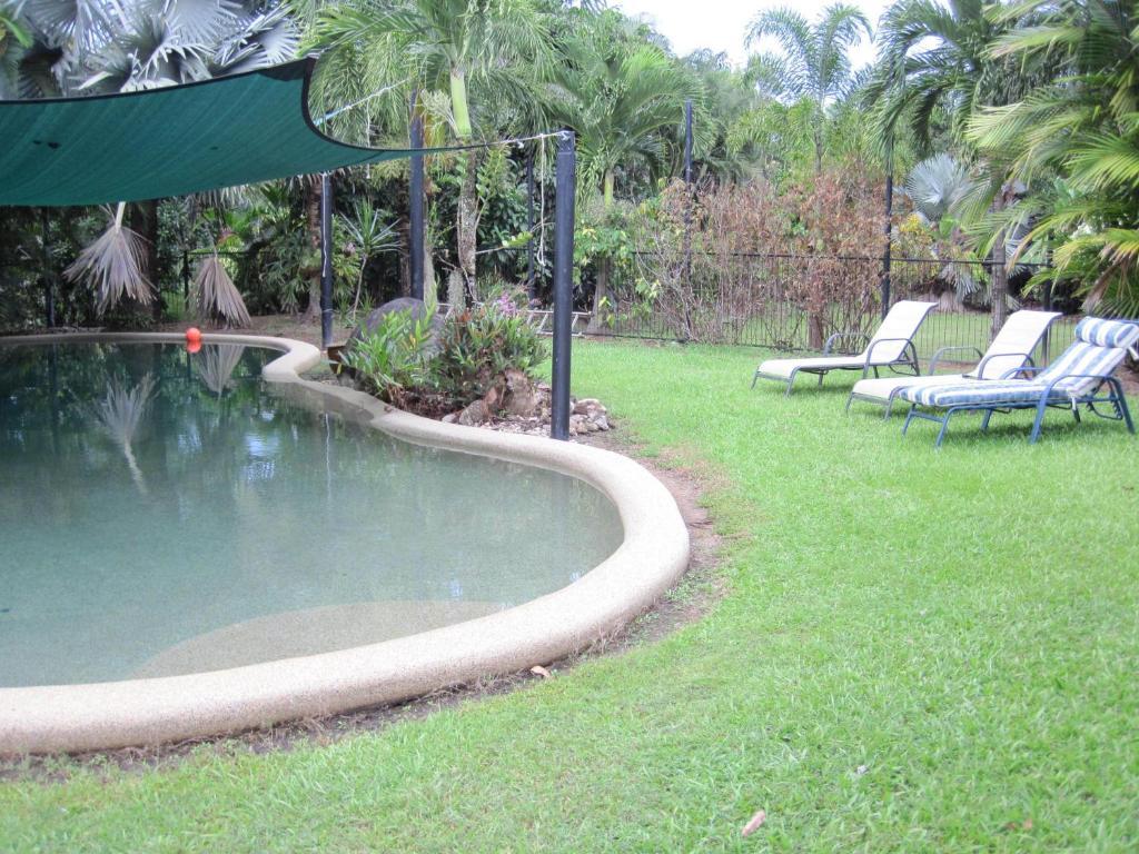 Daintree Wild Bed & Breakfast Exteriér fotografie
