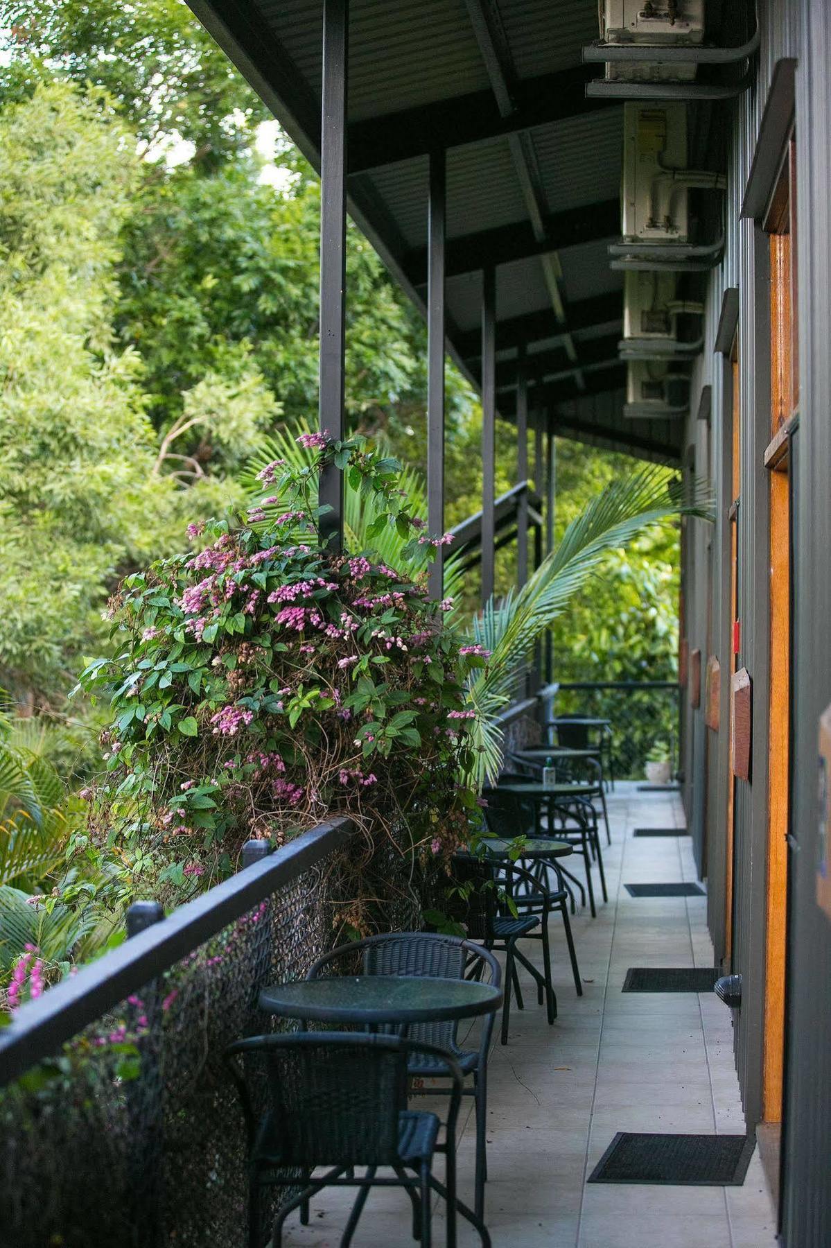 Daintree Wild Bed & Breakfast Exteriér fotografie