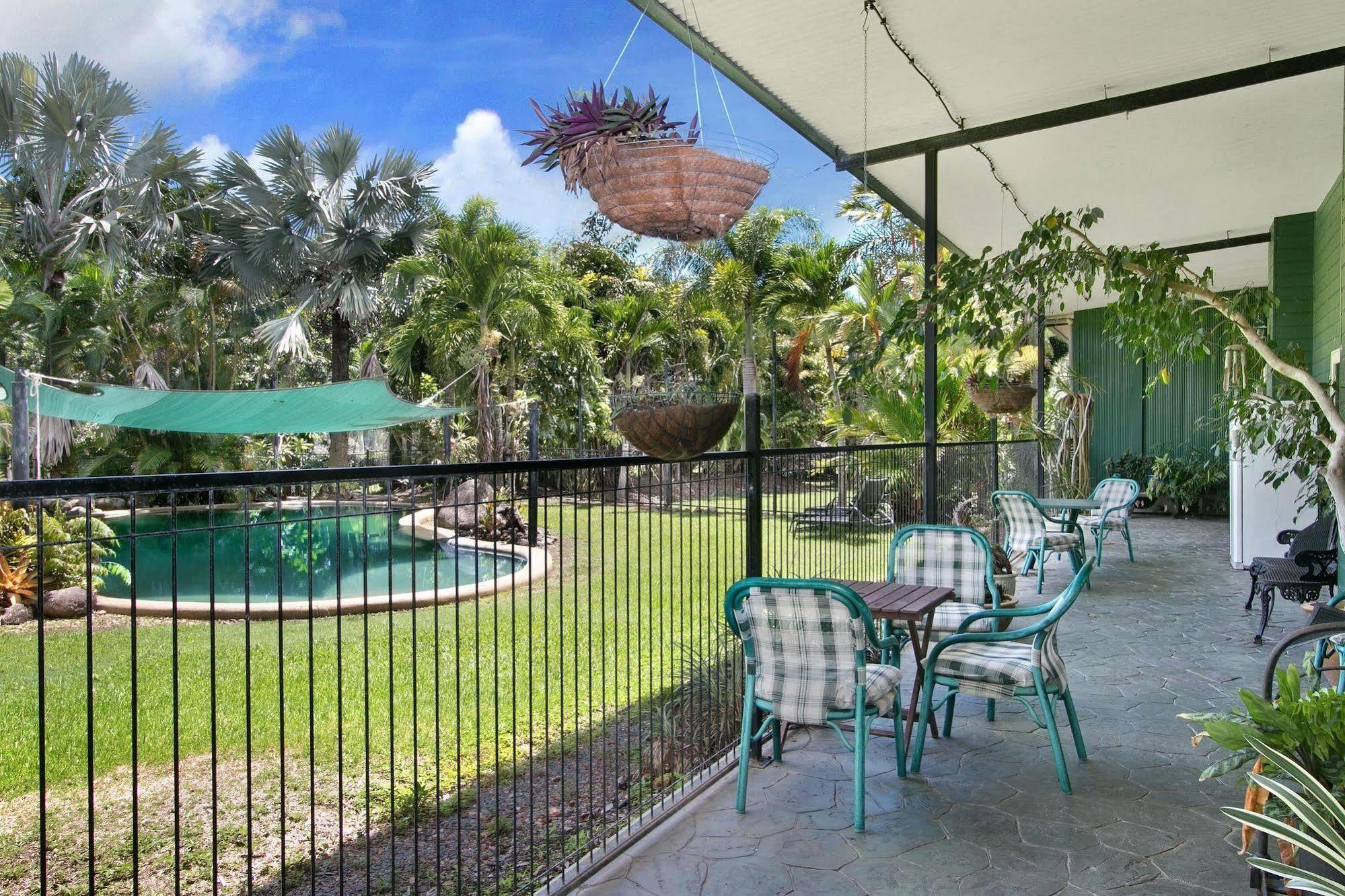 Daintree Wild Bed & Breakfast Exteriér fotografie