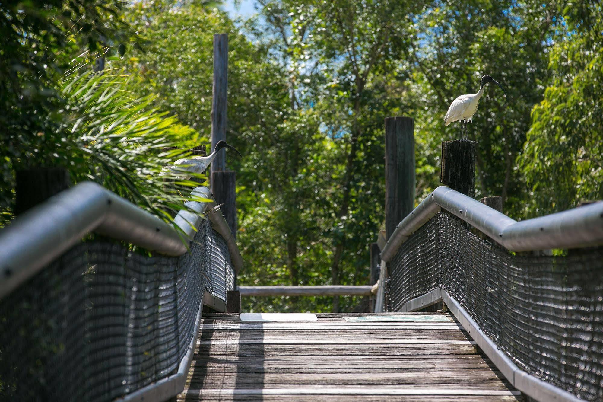 Daintree Wild Bed & Breakfast Exteriér fotografie